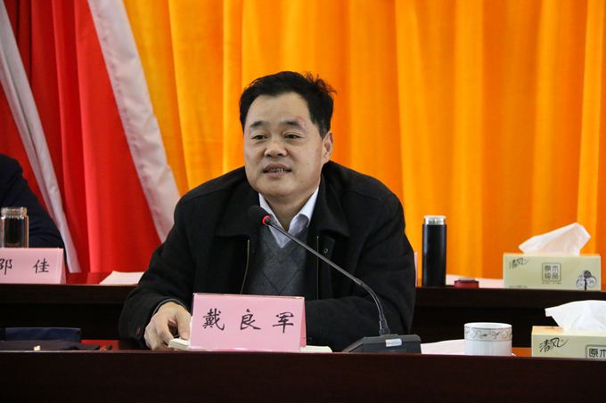 集團(tuán)黨委委員、副總經(jīng)理、總工程師戴良軍發(fā)表講話